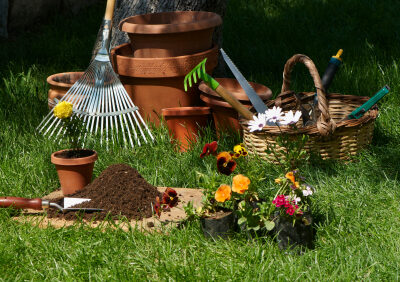 Gardening tips and tricks for beginners