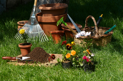 Gardening tips and tricks for beginners