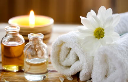 Everything you need to know about essential oils for pets