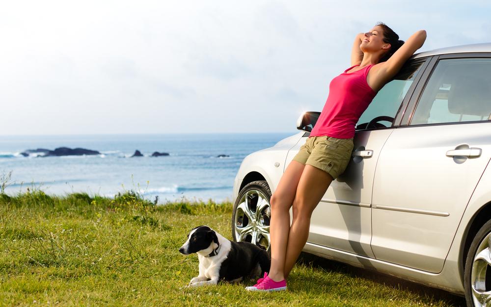 Overcome pet anxiety with pet-friendly travel