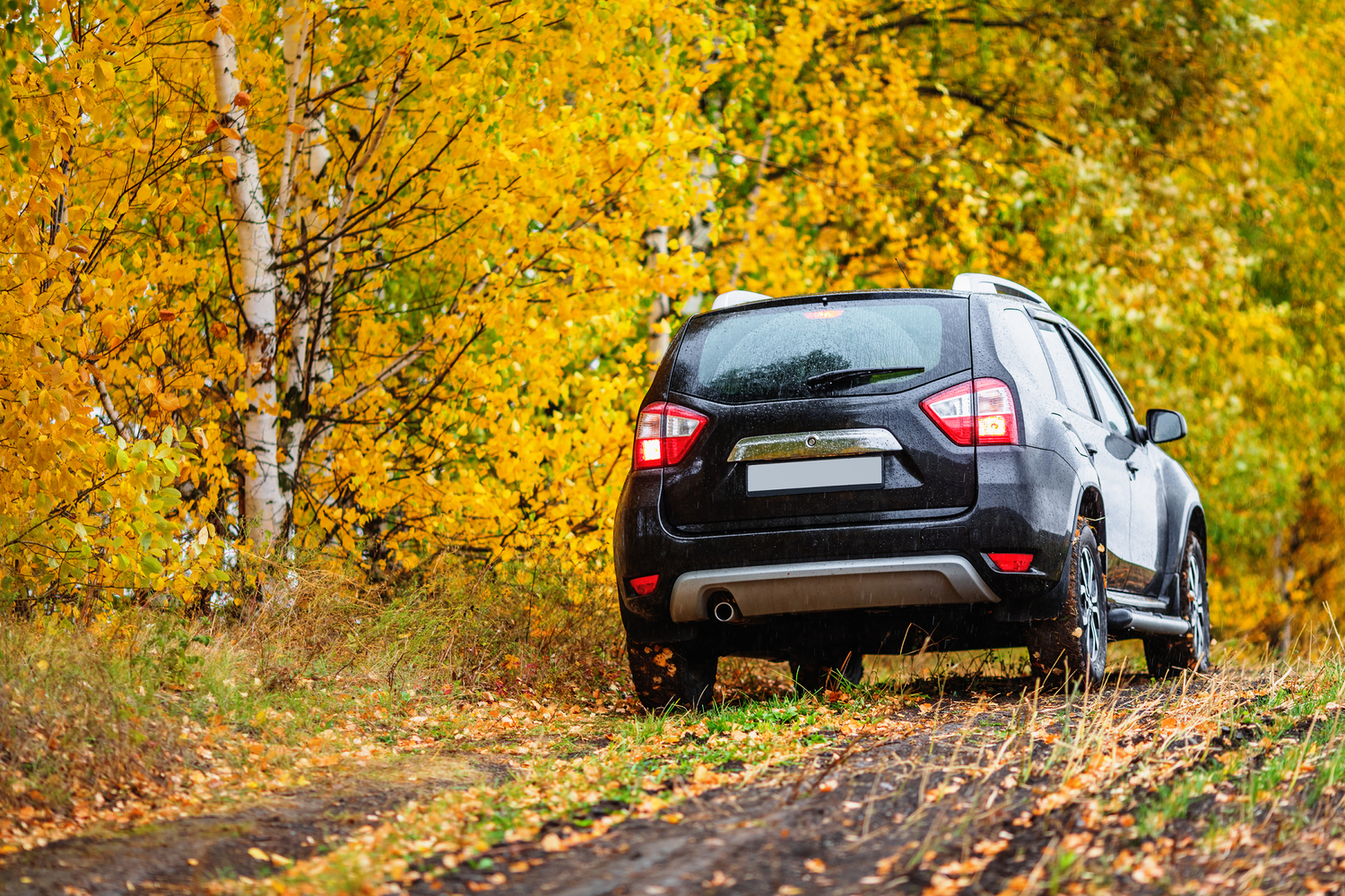 Reasons why SUV features are tailored for off-roading