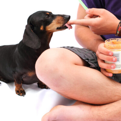 6 Human Foods That Are Safe For Dogs