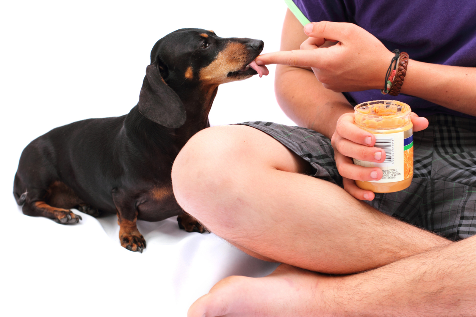 6 Human Foods That Are Safe For Dogs