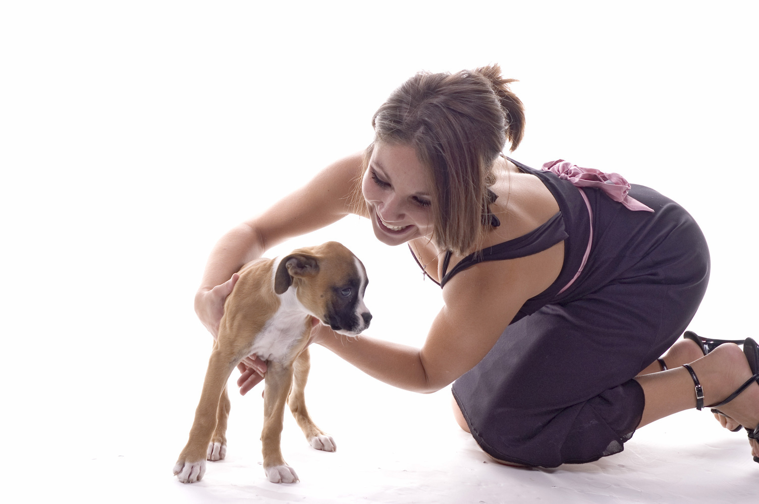 10 Ways Dogs Try to Communicate
